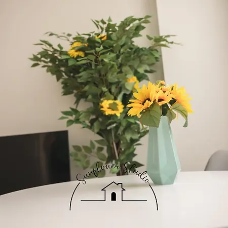 Sunflower By Tonsdeverde * Braga