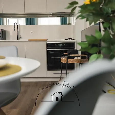 Sunflower Studio By Tonsdeverde * Braga