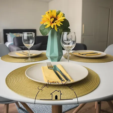Sunflower By Tonsdeverde * Braga